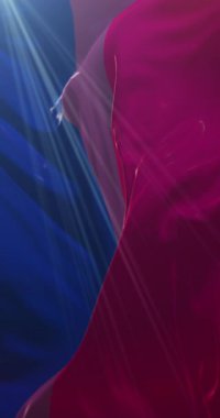 Biseksüel gurur bayrağı sallanıyor. Döngü. 4K Dikey