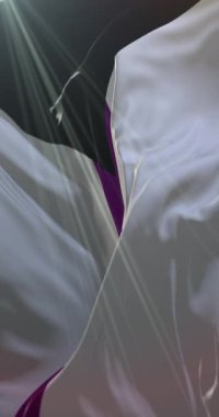 Rüzgâra karşı sallanan yarı seksüel bayrak. Döngü. 4K Dikey