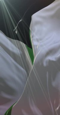 Yarı romantik gurur bayrağı sallanıyor. Döngü. 4K Dikey