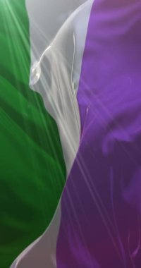 Cinsiyetçi gururu dalgalanması. Döngü. 4K Dikey