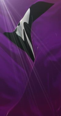 Labrys 'in lezbiyen bayrağı dalgalanıyor. Döngü. 4K Dikey