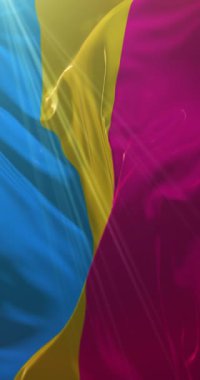 Panseksüel gurur bayrağı sallanıyor. Döngü. 4K Dikey