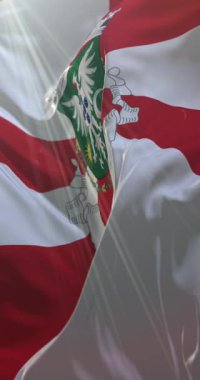 Aveiro Bayrağı, Portekiz. 4K dikey. Döngü