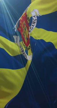 Braganza Bayrağı, Portekiz. 4K dikey. Döngü