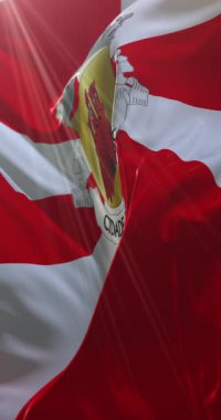 Guarda Bayrağı, Portekiz. 4K dikey. Döngü