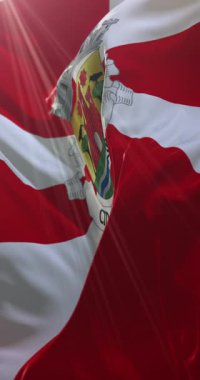 Leiria Bayrağı, Portekiz. 4K dikey. Döngü