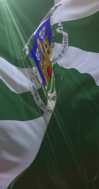 Porto Bayrağı, Portekiz. 4K dikey. Döngü