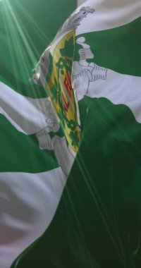 Vila Real Flag, Portekiz. 4K dikey. Döngü