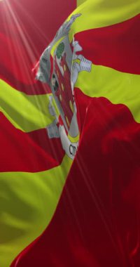 Viseu Bayrağı, Portekiz. 4K dikey. Döngü