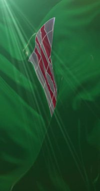 İtalya 'nın Umbria bölgesinin bayrağı. Döngü. 4K Dikey