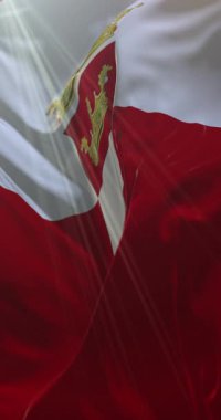 Avellino bayrağı, İtalya. 4K dikey. Döngü