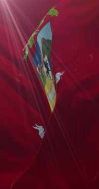 Arezzo bayrağı, İtalya. 4K dikey. Döngü