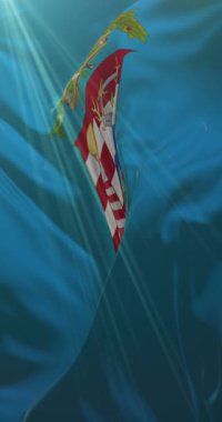 Cremona Eyaleti bayrağı, İtalya. 4K dikey. Döngü