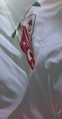 Floransa, İtalya bayrağı. 4K dikey. Döngü