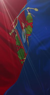 Forl Cesena, İtalya bayrağı. 4K dikey. Döngü