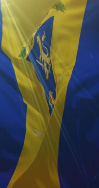 Frosinone ili bayrağı, İtalya. 4K dikey. Döngü