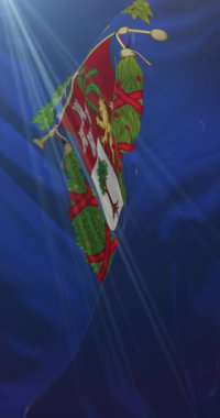 Imperia Eyaleti bayrağı, İtalya. 4K dikey. Döngü