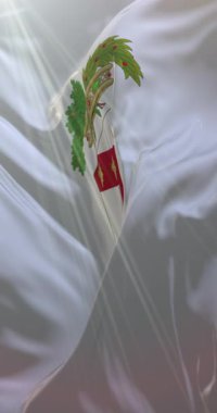 Livorno bayrağı, İtalya. 4K dikey. Döngü