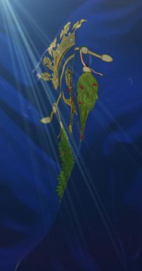 Lucca Eyaleti bayrağı, İtalya. 4K dikey. Döngü