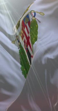 İtalya 'nın Padua ili bayrağı. 4K dikey. Döngü