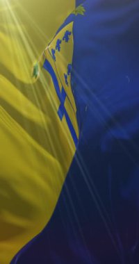 Parma bayrağı, İtalya. 4K dikey. Döngü