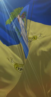 İtalya 'nın Pordenone ili bayrağı. 4K dikey. Döngü