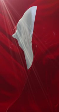 Piacenza şehrinin bayrağı, İtalya. 4K dikey. Döngü