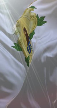 Potenza şehrinin bayrağı, İtalya. 4K dikey. Döngü