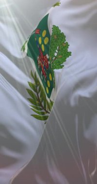 İtalya, Prato şehrinin bayrağı. 4K dikey. Döngü