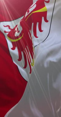 Güney Tyrol bayrağı, İtalya. 4K dikey. Döngü