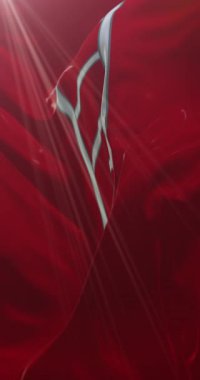 Verona Eyaleti bayrağı, İtalya. 4K dikey. Döngü