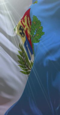 Vibo Valentia, İtalya bayrağı. 4K dikey. Döngü