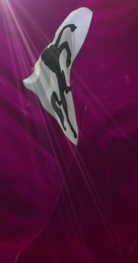 Arezzo bayrağı, İtalya. 4K dikey. Döngü