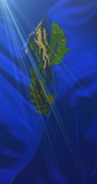 İtalya, Andria bayrağı. 4K dikey. Döngü