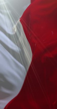 Bari bayrağı, İtalya. 4K dikey. Döngü