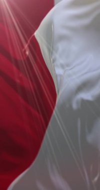 Forl şehrinin bayrağı, İtalya. 4K dikey. Döngü