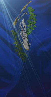 Gorizia şehrinin bayrağı, İtalya. 4K dikey. Döngü