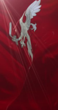 Grosseto bayrağı, İtalya. 4K dikey. Döngü