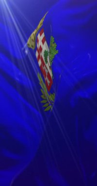 Imperia şehrinin bayrağı, İtalya. 4K dikey. Döngü