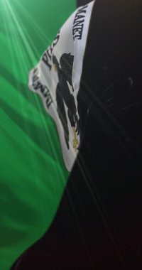 Laquila bayrağı, İtalya. 4K dikey. Döngü