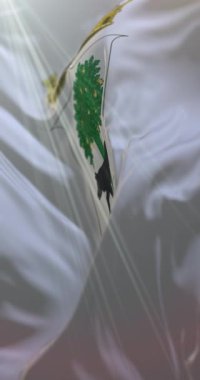 Lecce City, İtalya bayrağı. 4K dikey. Döngü