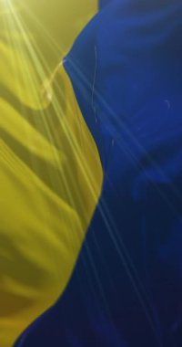 İtalya 'nın Modena şehrinin bayrağı. 4K dikey. Döngü