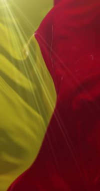 Napoli bayrağı, Campania, İtalya. 4K dikey. Döngü