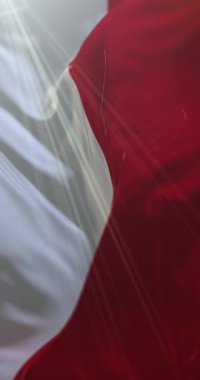 Oristano şehrinin bayrağı, İtalya. 4K dikey. Döngü