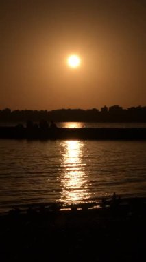 Güneş batarken dalgalı sularda martılarla dolu bir kıyıda. 4K Dikey