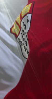 Kuzey Ren Vestfalya, Almanya 'da Köln kentinin bayrağı. Döngü. 4K Dikey