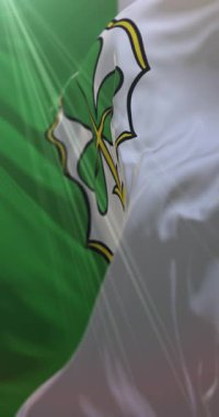 Furth Bayrağı, Bavyera, Almanya. Döngü. 4K Dikey