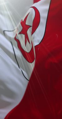 Almanya 'nın Saksonya-Anhalt eyaletinde Halle bayrağı. Döngü. 4K Dikey