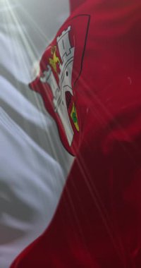 Almanya, Hanover bayrağı. Döngü. 4K Dikey