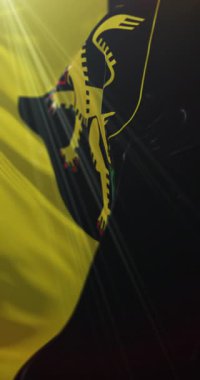 Heidelberg bayrağı, Almanya 'da Baden-Wrttemberg eyaleti. Döngü. 4K Dikey